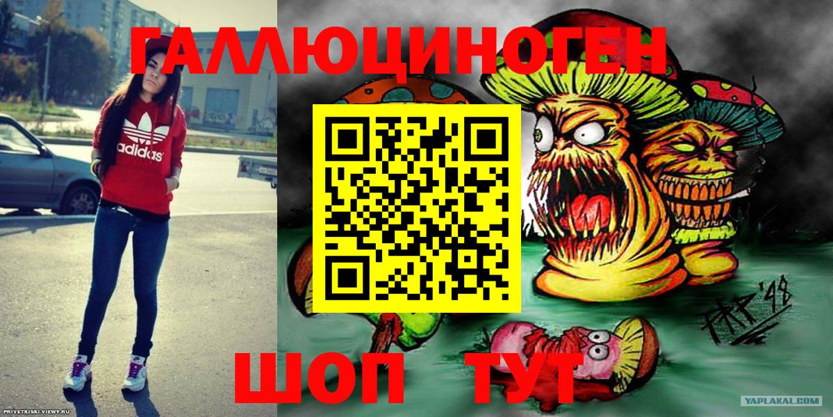 Псилоцибиновые грибы Cubensis Майкоп