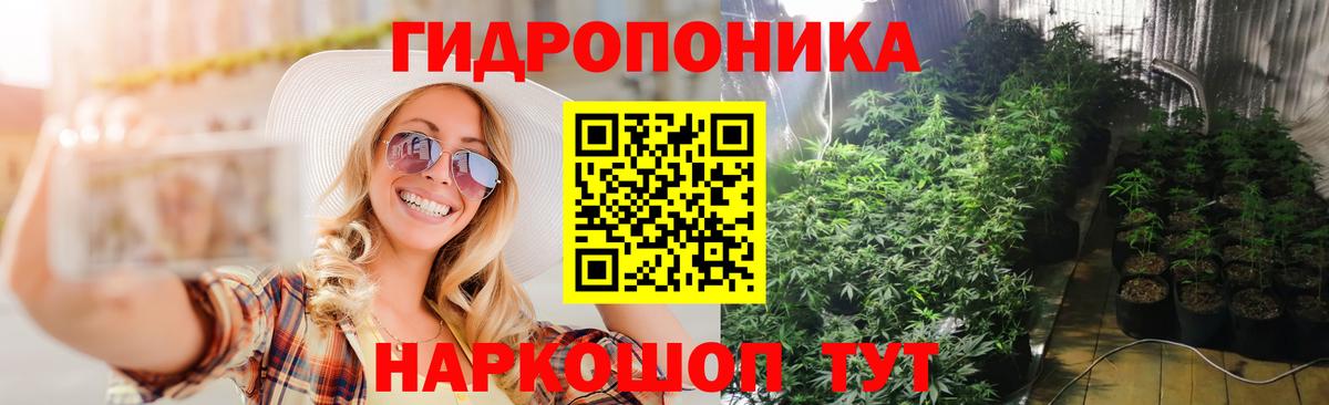 Каннабис Amnesia  МАРИХУАНА марихуана  Шишки марихуана OG Kush  Майкоп  Каннабис сатива  Вход с VPN 